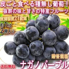 �i�K�m�p�[�v�� �햳������ ��1kg 2�[ ���쌧�Y���S �����K�i JA����i ���Y�i�̍����t���[�c�I�炲�ƐH�ׂ�嗱�̍��Ԃǂ�