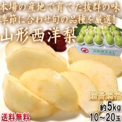 �R�`���m�� ��5kg 10�`20�ʓ��� �����K�i �R�`���Y �{��̎Y�n�ň�Ă����Q�̖��I�{�̕i������I