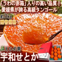 �F�a���Ƃ� ��3kg L�`4L�T�C�Y ���Q���Y �����`�I�n�͔| �����i JA���Ђߓ� �F�a���ň�Ă����Q�̖��I���i���Ȃ���̐Ԕ��݂���