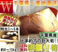 �Y�n���� �Џ@� ������������ � �������̂� ����T�C�Y�I ��8�`10kg 3�`6�{ ��t���Y �͔|���Ԕ_��s�g�p�E����ԂŎ��n�̃^�P�m�R