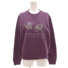 中古】ナイキ エスビー NIKE SB WASTED YOUTH プルオーバーパーカー