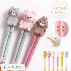 名入れ 箸 21cm お箸 名前入り 日本製 プレゼント 動物 かわいい 箸置き セット ハシマルズ プチギフト 女性 大人 キッズ 子供用