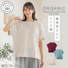 オーガニックコットン tシャツ インド綿 レディース 半袖 ドルマン 綿100% 無地 春 夏 クルーネック きれいめ カジュアル インド綿想いやりコットンドルマンTシャツ GOTS エコテックス認証 敏感肌 乾燥肌 肌に優しい