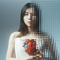 DVD/星野源/STRANGER IN BUDOKAN (通常版)の通販はau PAY マーケット