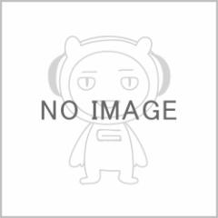 SONY/XQDメモリーカード Gシリーズ 120GB (QD-G120F) (メーカー取寄)