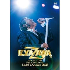 DVD/ポルノグラフィティ/15thライヴサーキット”BUTTERFLY EFFECT” Live