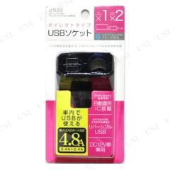 ���o�[�V�u��USB�_�C���N�g�\�P�b�g �W���C�t�� ���݃\�P�b�g �J�[�p�i �o�C�N�p�i ��������IC���� DC12V�p