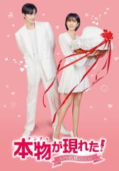 秘密の扉 全12枚 第1話〜第24話 最終 中古DVD 全巻セット
