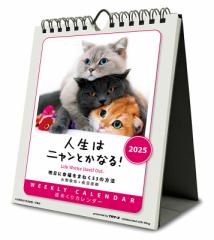 新品 のだめカンタービレBOX / 上野樹里／玉木宏、瑛太、二ノ宮知子 (DVD-BOX)ASBP-3741-AZの通販はau PAY マーケット -  そふと屋 | au PAY マーケット－通販サイト