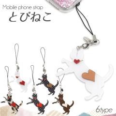 �g�уX�g���b�v �Ƃт˂� �o�b�N �|�[�` �A�N�Z�T���[ cat �L �� �L�[�z���_�[ �ڈ� �X�}�[�g�t�H���P�[�X �`���[�� �����h�~ �X�}�z �X