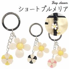 �o�b�O�`���[�� �L�[�z���_�[ �V���[�g�v�������A 2�A ���ԃ��`�[�t�t�� ���̓I�ȉԂт� �l�C �썑 ���C���X�g�[�� �؂₩ ������� ����