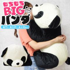 �p���_ �傫�� �ʂ������ 75cm �r�b�O�T�C�Y �������� ������ �傫�� ���� �N�b�V���� �a���� �v���[���g�������� �X�� �f�B�X�v���C �X