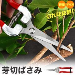 ��؂΂��� �؂ꖡ���Q �L�U�n ����΂��� �X�e�����X�� �K�тɂ��� �ׂ�������ɍœK ���|�p �͂��� �y�� ���ϋv ����͂��� �Ԃ̎����