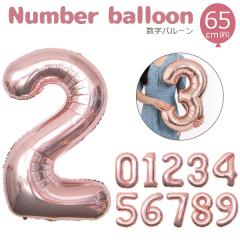 ���� �o���[�� �s���N�S�[���h ��65cm 0�`9 �΂甄�� �a���� ���j�� �L�O�� �C�x���g �p�[�e�B�[ ����t�� ���� �f�R���[�V���� �p�[�e�B