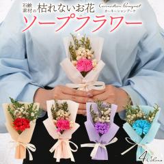 �M�t�g �\�[�v�t�����[ �J�[�l�[�V�����u�[�P �ԑ��^�C�v �J�X�~�\�E �h���C�t�����[ �Ϗܗp �Ό��f�� �͂�Ȃ����� ��i ���Ǝ� ���� ��