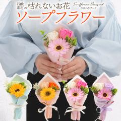 �M�t�g �\�[�v�t�����[ �Ђ܂��u�[�P �ԑ��^�C�v �q�}���� ������ �o�� �K�N �΂� �Ϗܗp �Ό��f�� �͂�Ȃ����� ��i ���Ǝ� ���� ��