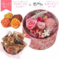 ��̓��M�t�g 2026 ���ԂƃX�C�[�c�Z�b�g �J�[�l�[�V���� �������z�C�b�v ���A�� �p�e�B�X���[ �����V�F�[�� �Ă��َq �t�B�i���V�F ���b