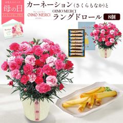 ��̓� �M�t�g �J�[�l�[�V�����i��������Ȃ��j �ԂƃX�C�[�c �M�t�g�Z�b�g �uOIMO MERCI�v �����O�h���[�� 8�Z�b�g �ĉَq �l�ߍ��킹