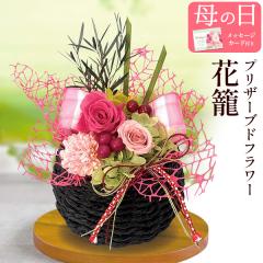 ��̓��M�t�g 2026 �v���U�[�u�h�t�����[�i���āj�K�N ���z�� �o�� �A�W�T�C �A�����W�����g ���̂܂܏���� �΂� �������� ���� ���� ��