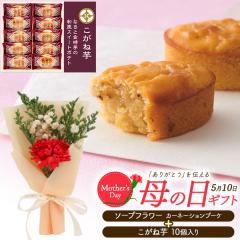 ��̓��M�t�g �����ˈ� & �\�[�v�t�����[ ���َq�Ƃ��ԃZ�b�g �Ό��̂��ԂƃX�C�[�c�Z�b�g �J�[�l�[�V�����u�[�P �a�� �X�C�[�g�|�e�g ��