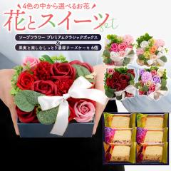 ���َq�Ƃ��ԃM�t�g �ʎ��Ɗy���ނ����Ƃ�Z���`�[�Y�P�[�L 6�l����  �{�b�N�X�t�����[ �a���� �����j ���j ��j �ސE �]�E ���� ��j 