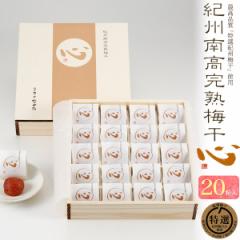 IB썂~ ~yIB썂n~ S 嗱20z10% 500g 20 cHi  2024N  䒆 Y a̎RY 