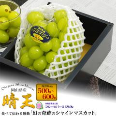 �V���C���}�X�J�b�g �����p ���R���Y ���� 1�[�i��500�`600g�j ���R�����O�s�t���[�c�p�[�N�т��� ���� ��Ȃ� �Ԃǂ� ���Y ���� �t���[