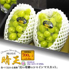 �V���C���}�X�J�b�g �����p ���R���Y ���� ��700g�~2�[ (�v1.4kg�j ���R�����O�s�t���[�c�p�[�N�т��� ���� ��Ȃ� �Ԃǂ� ���Y ���� �t