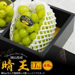 �����p ���R���Y �V���C���}�X�J�b�g ���� ��1kg ���I �Ԃǂ� 1�[ ��Ȃ� ���� ���� �t���[�c �M�t�g �ʕ� ���Y �{�̃t���[�c ��j �A�� 