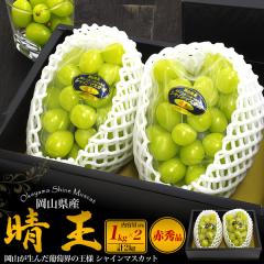 �����p ���R���Y �V���C���}�X�J�b�g �u�����v 2�[ ��1kg�~2 ��Ȃ� ���� �Ԃǂ� �v2kg ���ϔ����� ���l�Ή� �t���[�c �M�t�g ���j ���~ 