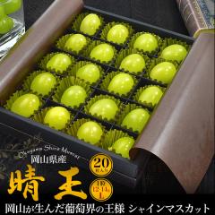 �V���C���}�X�J�b�g �����p ���R���Y ���� L�T�C�Y 20������ �ăM�t�g ��Ȃ� ���� �Ԃǂ� ���l�Ή� �①�z�� �①�z�� �t���[�c �M�t�g 