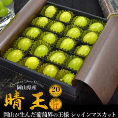 �V���C���}�X�J�b�g �����p ���R���Y ���� LL�T�C�Y 20������ ��Ȃ� ���� �Ԃǂ� ���ϔ����� ���l�Ή� �①�z�� �①�z�� �t���[�c �M�t