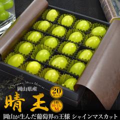 �V���C���}�X�J�b�g �����p ���R���Y ���� M�T�C�Y 20������ �ăM�t�g ��Ȃ� ���� �Ԃǂ� ���l�Ή� �①�z�� �①�z�� �t���[�c �M�t�g 