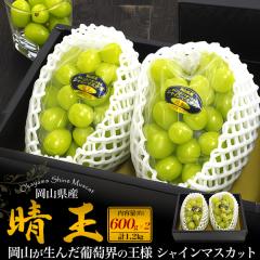 �V���C���}�X�J�b�g ���� ���R���Y �����p 2�[ �v��1.2kg(600g�~2) ��Ȃ� ���� �Ԃǂ� ���l�Ή� �①�z�� �t���[�c �M�t�g ���ފ� �h�V