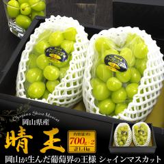 �����p ���R���Y �V���C���}�X�J�b�g �u�����v 2�[ ��700g�~2 ��Ȃ� ���� �Ԃǂ� �v1.4kg ���ϔ����� ���l�Ή� �t���[�c �M�t�g �A�� ��