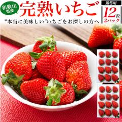 �y�\��F1�����{���o�ח\��z �a�̎R���Y �������u�܂�Ђ߁v 24���i12���~2�p�b�N�j �y�{���ɔ��������z䕂����T���̕��� ���ڔ����t�� 