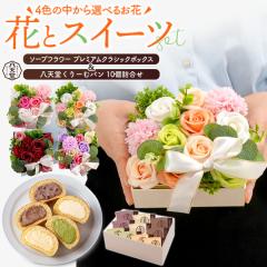 ���َq�Ƃ��ԃM�t�g ���V�� ����[�ރp�� 10�l���� �{�b�N�X�t�����[ �Ⓚ�� �a���� �����j ���j ��j �ސE �]�E ���� ��j ���蕨 ��