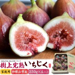 ���n�������� 350g�~4�p�b�N �a�̎R���Y �ƒ�p ���ԉ� �C�`�W�N ���㊮�n ���Y ���{�Y �� �����t���[�c �������� �ʕ� �Â� �{�̉ʕ� 