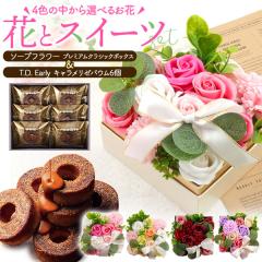 ���َq�Ƃ��ԃM�t�g T.D.Early �L���������[�o�E�� 6�l���� �\�[�v�t�����[ �v���~�A���N���V�b�N�{�b�N�X �a���� �����j ���j ��j ��