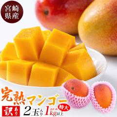 �󂠂� �{�茧�Y ���n�}���S�[ 4L�T�C�Y 2�� ���v ��1kg ���� �{�茧�Y �A�b�v���}���S�[ ������p ���Y ���{�Y �����t���[�c �������� 