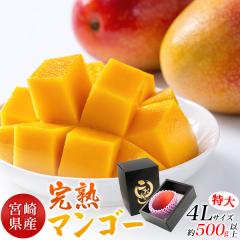 �{�茧�Y ���n �}���S�[ �����p ����4L ��500g�ȏ� ������ ���� �t���[�c ���Y ���n�}���S�[ ���j�� �a���� ��j �䌩�� �M�t�g ����