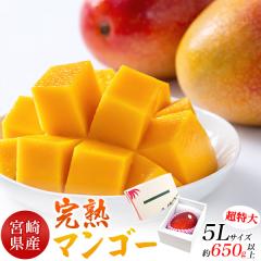 �{�茧�Y ���n �}���S�[ �����p ������5L ��650g�ȏ� ������ ���� �t���[�c ���Y ���n�}���S�[ ���j�� �a���� ��j �䌩�� �M�t�g ��