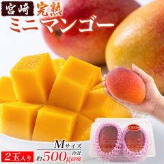 �}���S�[ �{�茧�Y ���n�~�j�}���S�[ �����p M�T�C�Y 2�ʁi��500g�O��j ������ ���� �t���[�c ���Y ���n�}���S�[ ���j�� �a���� ��