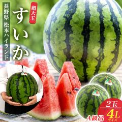 ���쌧�Y ������ 2�� ����� A�� 4L  �����p �t���[�c ���{�n�C�����h������ �ăM�t�g ���Z ���Y �ʕ� �M�t�g �t���[�c�M�t�g �퉷�z�� 