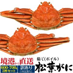 �V�� ���t�K�j �󂠂� 1�{������ 2�t ��600�`700g 䥂� ���t�J�j �J�j �I ���� ���t���� ���`���� �{�C�� �Y���C�K�j ��� �V�N�� ������