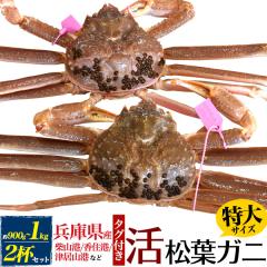 ���t�K�j�y���I 900g�`1kg�~2�t�z���Ɍ��Y �� ���t���� �p �Y���C�K�j �Y�n�ؖ� �u�����h�^�O�t �J�j�i�ĎR���� / �Ë��R���� / ���Z����