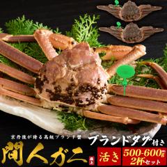 ���t�K�j�y���I 500g�`600g�~2�t�z�Ԑl�K�j ���s�{�Y �� ���t���� �p ���O�� �Y���C�K�j �Y�n�ؖ� �u�����h�^�O�t �J�j �Ԑl�I �������I 