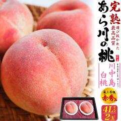 �y8����{�`�o�ׁz�� �����p 4L 2�� �����̓� �쒆������ �ԏG�i�i2��) �a�̎R���Y ����Ȃ����܂͂��Ƃ� ���� ��� ���� ���� �Â� ��