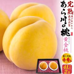 �y8����{�`�o�ׁz�� �����p 4L 2�� �����̓� ������ �ԏG�i �i2��) �a�̎R���Y ���� ��������Ƃ� ��� ���� ���� �Â� ���炩��̓� 