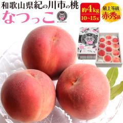 �y8����{�`�o�ׁz�� �����p 4kg�i10�ʁ`15��)  �Ȃ��� �ԏG�i �a�̎R���Y ��4�L�� ���� ���� �Â� �ӂ�[�ӂ��[�ނ킩��� �����p 